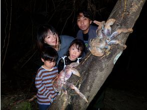 プランの魅力 Grab a light and head into the forest at night. Get excited about meeting coconut crabs and other nocturnal creatures! の画像