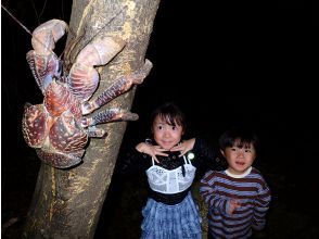 プランの魅力 The best experience every time! の画像