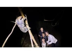 プランの魅力 まるで探検隊!ドキドキのナイトツアーで自然の神秘を体感しよう。 の画像