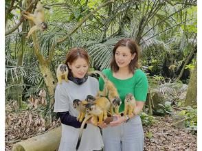 プランの魅力 You can also meet squirrel monkeys ♡ の画像