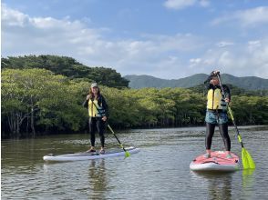 プランの魅力 SUP in the mangroves の画像