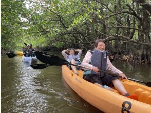 プランの魅力 Challenge yourself to kayak through the mangrove tunnels! の画像