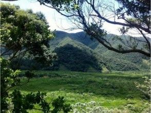 プランの魅力 ธรรมชาติที่งดงาม の画像