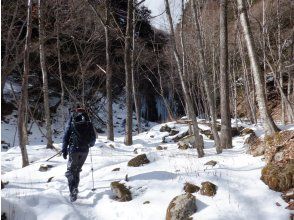 プランの魅力 樹林帯 の画像