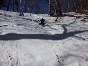 プランの魅力 雪滑り の画像