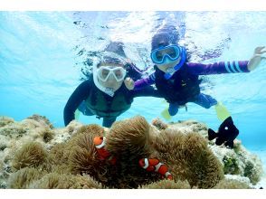 プランの魅力 天然水族館！ の画像