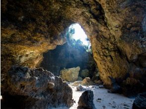 プランの魅力 ハートの形をした岩 の画像