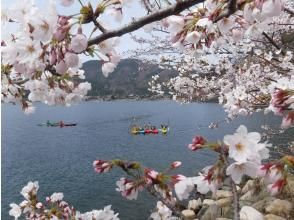 プランの魅力 Approximately 600 cherry trees の画像