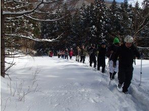 プランの魅力 雪道を進みます の画像