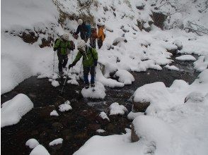 プランの魅力 渡渉 の画像