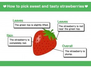 プランの魅力 How to pick sweet and tasty strawberries の画像