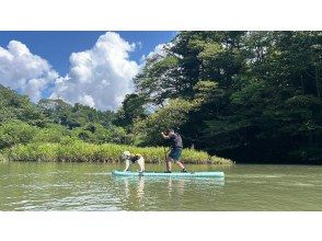 プランの魅力 大型犬とも楽ちん! の画像