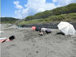 プランの魅力  の画像