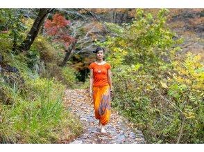 プランの魅力  の画像