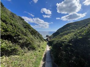 プランの魅力 笠利崎 の画像