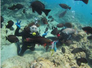 プランの魅力 熱帯魚に囲まれて♪ の画像