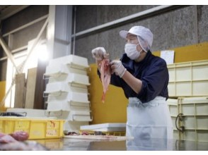 プランの魅力 A craftsman shares his knowledge about fish の画像