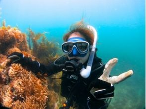 プランの魅力 Let's start diving this year ♪ の画像