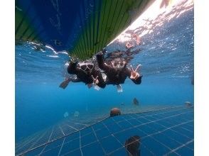 プランの魅力 泳げなくても大丈夫 の画像