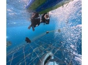 プランの魅力 水面からでもしっかり見えます の画像