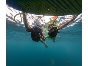 プランの魅力 大人もお子様も大興奮 の画像