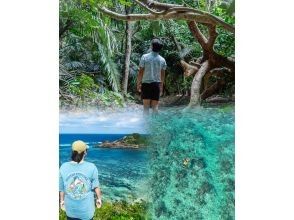 プランの魅力 A first for Ishigaki Island! Jungle exploration & hidden beach SUP tour! Enjoy blue and green scenery on one tour! の画像