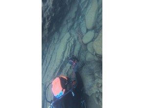 プランの魅力 天然記念物を間近で観察！ の画像