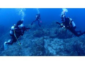 プランの魅力 少人数制で安心のサポート体制 の画像