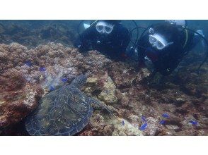 プランの魅力 ボートポイントを2ダイブ満喫 の画像