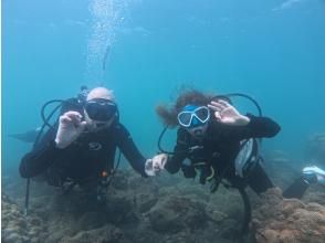 プランの魅力 少人数制で安心・快適なガイド の画像