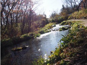 プランの魅力 pond の画像