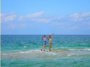 プランの魅力 In the afternoon, we will take a 10-minute boat ride from Uehara Port and go snorkeling near Barasu Island. の画像