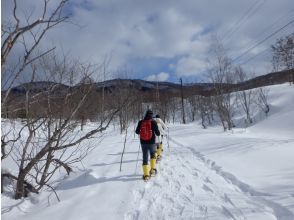 プランの魅力 いっぱい歩きます！ の画像