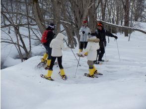 プランの魅力 ガイドがいろんな遊びを提供します！ の画像