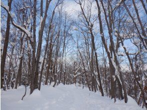 プランの魅力 Let's go through the tree tunnel too! の画像