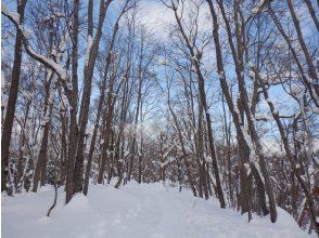 プランの魅力 Let's go through the tree tunnel too! の画像