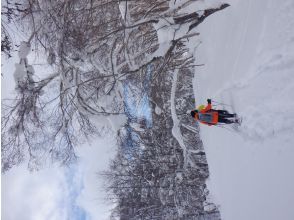 プランの魅力 The trees bending under the weight of the snow are a sight to behold! の画像
