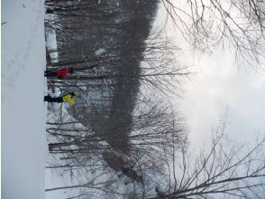 プランの魅力 You can take as many photos as you like! The group size is small, so feel free to take as many photos as you like! の画像