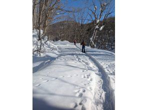 プランの魅力 The small footprints next to them are animal tracks. の画像