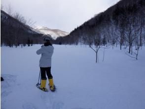 プランの魅力 A majestic landscape that can be admired forever の画像