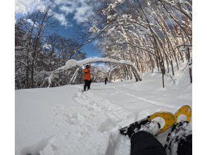 プランの魅力 My foot got stuck の画像