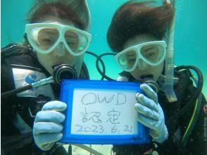 プランの魅力 Join the divers! の画像