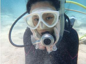 プランの魅力 Japon! の画像