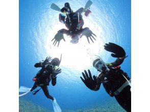 プランの魅力  の画像