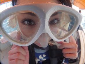 プランの魅力  の画像