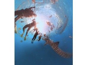 プランの魅力 臨場感溢れる360度カメラ撮影（有料） の画像