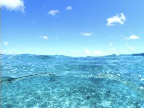 プランの魅力 手ぶらで参加可能！！ の画像