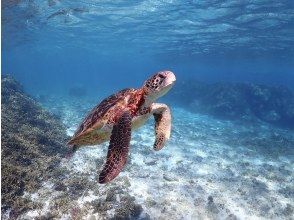 プランの魅力 高性能カメラで撮影！！ の画像