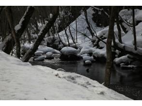 プランの魅力  の画像