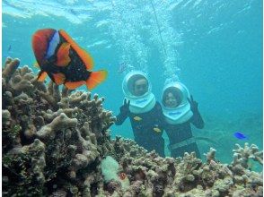 プランの魅力 水中でニモにも遭遇できます の画像